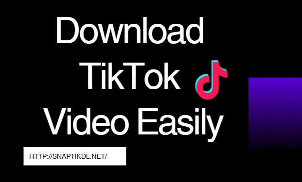 How to Download TikTok Video Easily ?